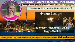 Scaling down  right sizing Power Apps implementations for small Kiwi businesses