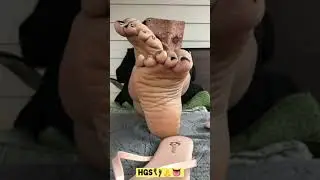 Indie&rsquo;s Sole Show ASMR Toe Wiggle, Sole Rubbing, Dry Soles Black Toes👣