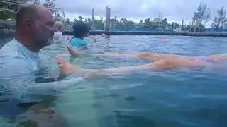Delilah receives CranioSacral Therapy from Dolphins