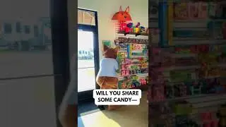 Biscuit Campstore Adventures! #shorts