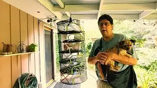 Coopache Six-Tier Hanging Herb Drying Rack