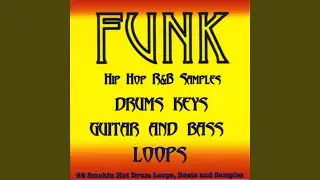 Funk Guitar Loop 5