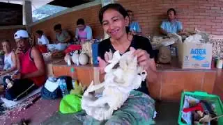BALI, INDONESIA - Culture, Heritage & Hotspots