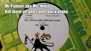 Mr Palmer aka Mic Ninja Kill dem all and come back alone