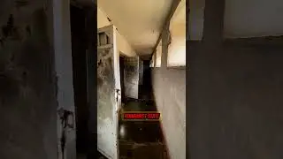 Haunted Asylums in 60 Seconds: Waverly Hills, Pennhurst & Athens