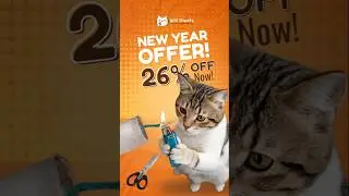 Billi Treats 26% Off Offer 🛒 | Cat Food in Karachi