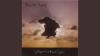 Shipwrecked Soul