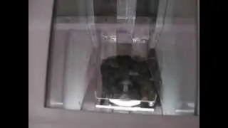 Onsite Hard Drive Destruction Service 1