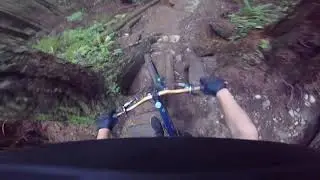 Pingu-Pangoor at Seymour Mountain