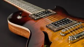 Bassart Guitars Soulcat Hollow (played by Peter Schilm&ouml;ller)