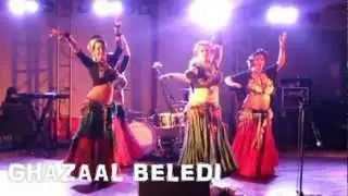 Firefly Performance Artists 2012