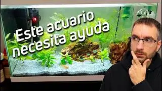 SOS 🚨 C&oacute;mo Mejorar un Acuario en Problemas &iexcl;AcuariosRtules Al Rescate!