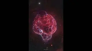 7 января 2026 г. — Симейс 147: остаток сверхновой в туманности Спагетти.