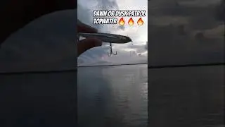 Topwater Strikes at Dawn & Dusk | Fluid Fishing Short Strikes