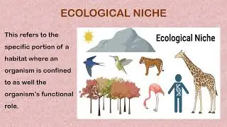 BASIC ECOLOGICAL CONCEPTS SS1