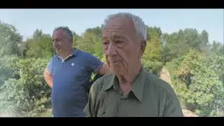 Présentation de la machine à vendanger GREGOIRE AUDE ! 🚜