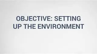 Setting up the Environment