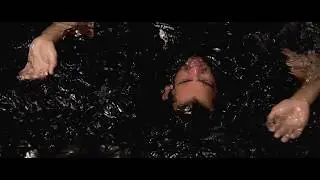 Worse For Wear - Don't Look Up