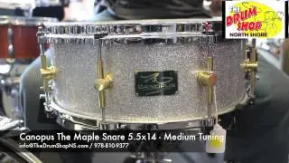Canopus The Maple Snare 5.5x14 - The Drum Shop North Shore