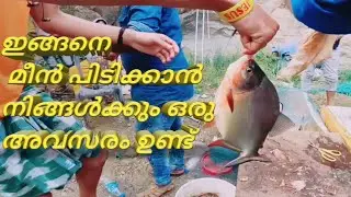 Unique Hand Fishing Catch| big fish hunding