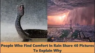 People Who Find Comfort In Rain Share 40 Pictures To Explain Why