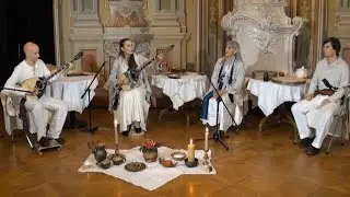 VEDUN - Dalmatinske / Dalmatian