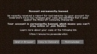 Top 10 Minecraft Chat Reporting Supporters