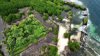 Stone, Sea, and Shark: A Journey Through Pohnpei