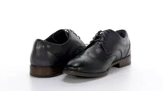 Stacy Adams Brayden Wing Tip Lace-Up SKU: 9906591