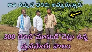 9సం