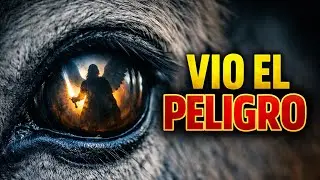 🐴 El Burro de Balaam | Historia B&iacute;blica que Nadie Explica #history 