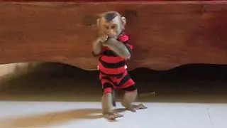 Little Jason So Lovely Attitude Standing Wait Mom Calling To Drink Milk