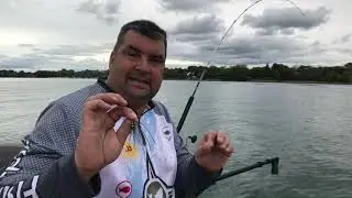 Pêche avec Downrigger