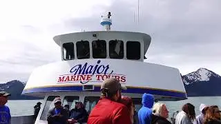 Major Marine 5 Hour Tour - Kenai Fjord, Alaska