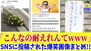 【総集編】インパクトありすぎてSNSで大バズリした投稿がヤバすぎたwww笑ったら寝ろwww【ゆっくり】