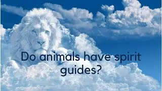 Do animals have spirit guides?