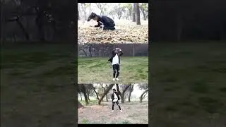 Uska hi bana #arijitsingh  #dancecover #arijitsinghstatus #dhunter