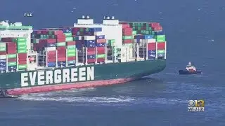 Pilot of cargo ship Ever Forward, which ran aground in Chesapeake Bay last year, gives up license