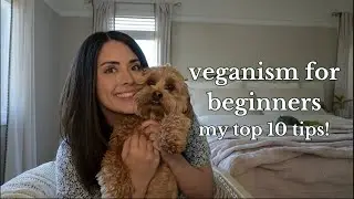 Guide to Going Vegan | 10 Tips for Beginners
