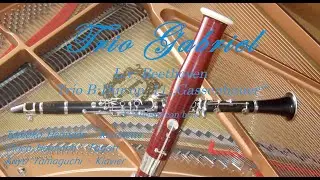 L.v. Beethoven (1770-1827): Trio op.11 B-Dur 
