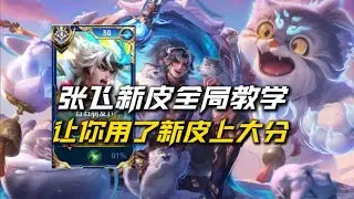 B站最强张飞全局教学：新皮手感是最好的！