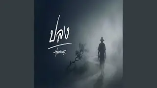 ปลง