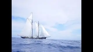 TRAILER | Maiden Offshore Voyage of the Pacific Grace 2003-2004