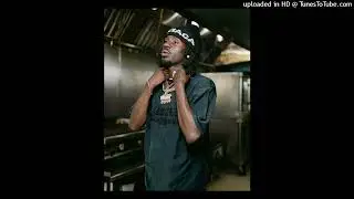 [FREE] Chicken P x Veeze x Milwaukee Type Beat - 