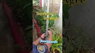 fastest way of making bowline#followers #knot #knotying #rescue #outdoors #bfp