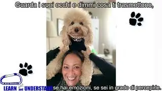NO ALL' ABBANDONO - Educandog | MAX VISMARA