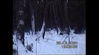 (Video8 tape) Зима/Winter 