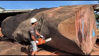 Woodworking Factory | Saw Wood Giant Thousand Year Old, So Surprised When Saw The Inside Of The Tree