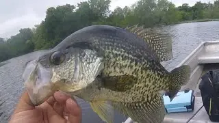 I caught a tank | Crappie fishing | Strike king Slablicious