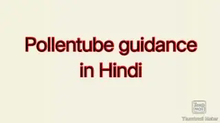 pollentube guidance /pollentube guidance in Hindi /pollen pistil interaction /M. Sc. boatny